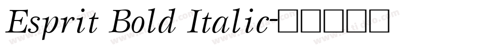 Esprit Bold Italic字体转换